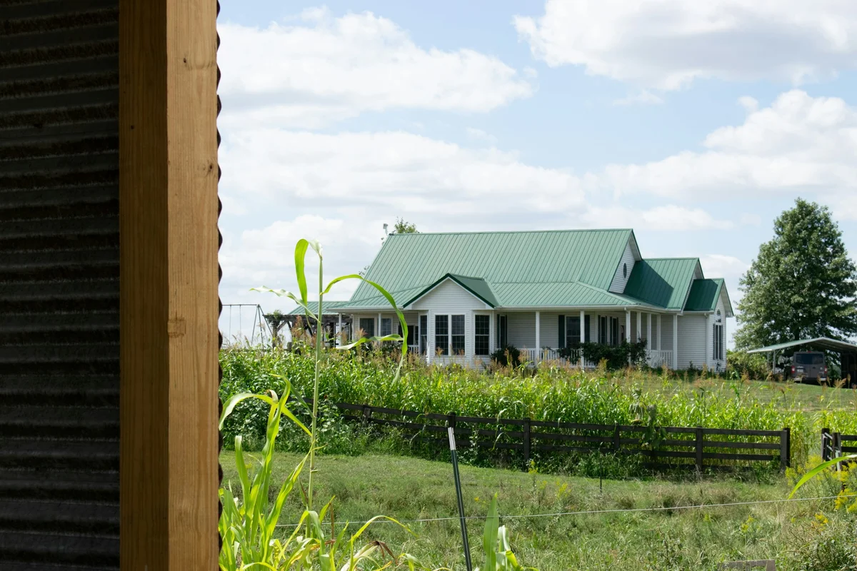 Penerapan Warna Alam Ke dalam Desain Rumah