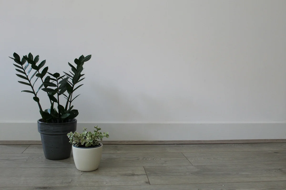 Tips Tata Ruang untuk Gaya Rumah Minimalis