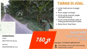 Avatar of Andre Kloer