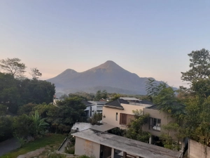 Avatar of bambangp wibowo