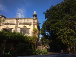 Avatar of Davis Hayward