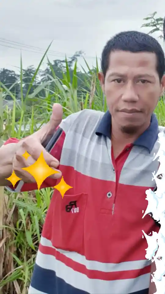 avatar of Anton Hartono