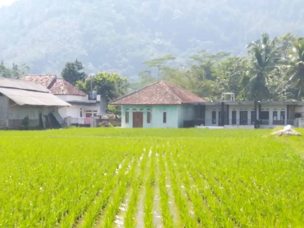 Avatar of wahyu cililin