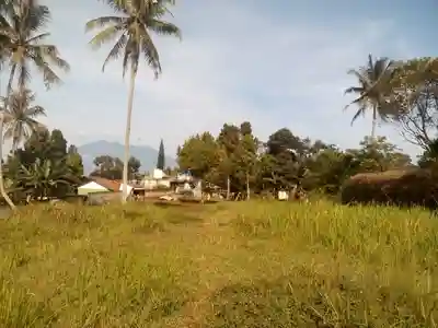 Avatar of makmur