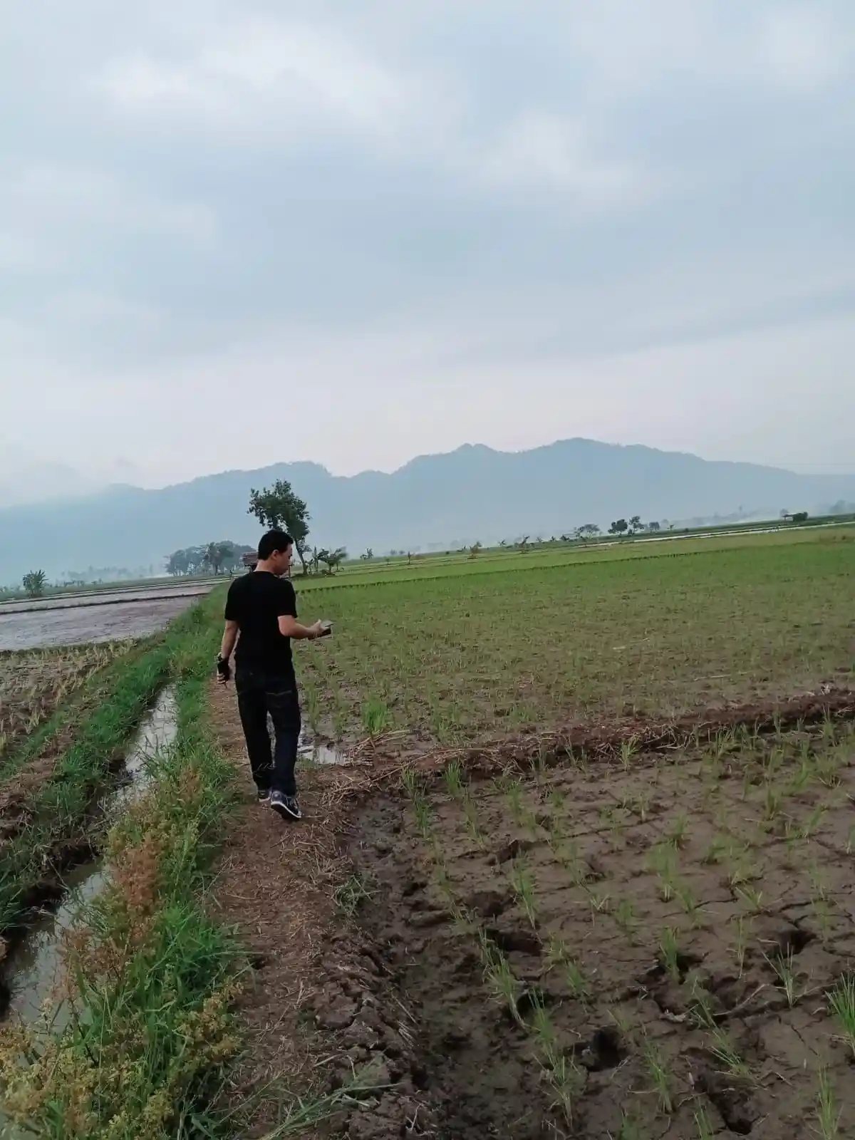 Avatar of Zey Alhaq